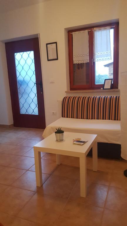 Apartments Sorgo Novigrad Istria 外观 照片